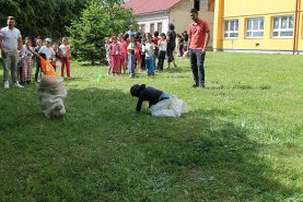 img_1995