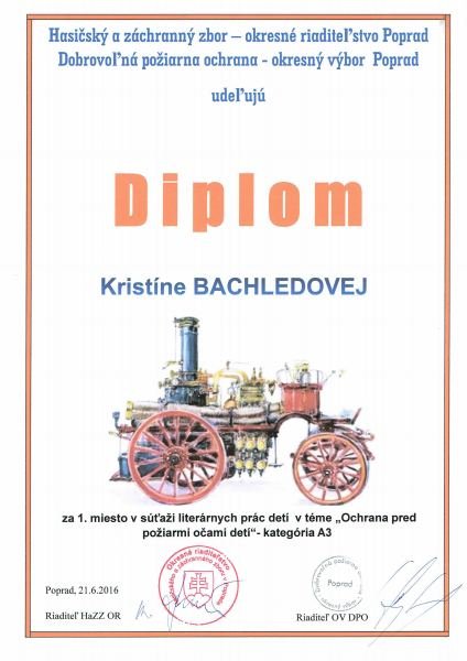 diplom_kristina
