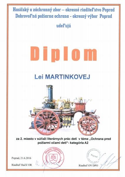 diplom_lea