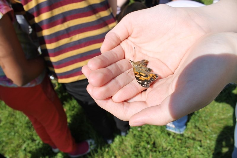 img_1966